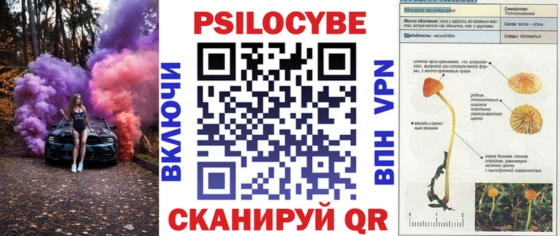 Купить где  Белорецк  Псилоцибиновые грибы MAGIC MUSHROOMS 